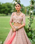 Pure Tissue Hand Embriodered Knots Work Lehenga