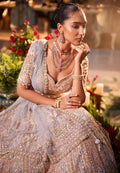 Light Blue Sequins Work Lehenga