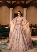 3D Embriodered Offwhite Floral Lehenga