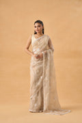 Light Beige Crushed Tissue Saree With Pearl and Sequins Handwork