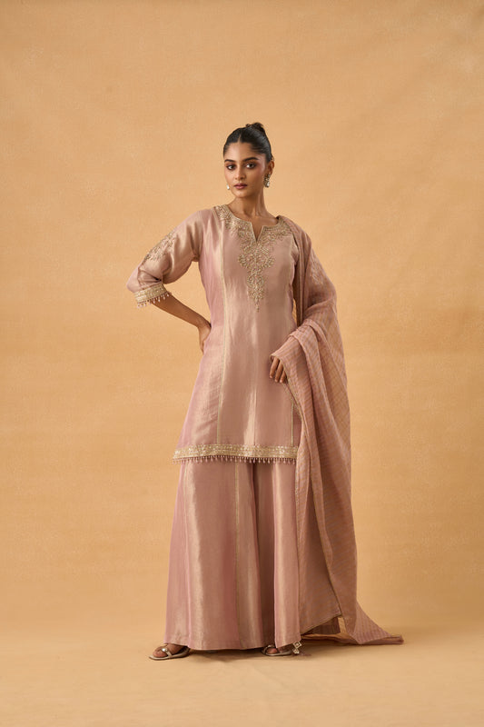 Blush Pink Tissue Palazzo Suit Set