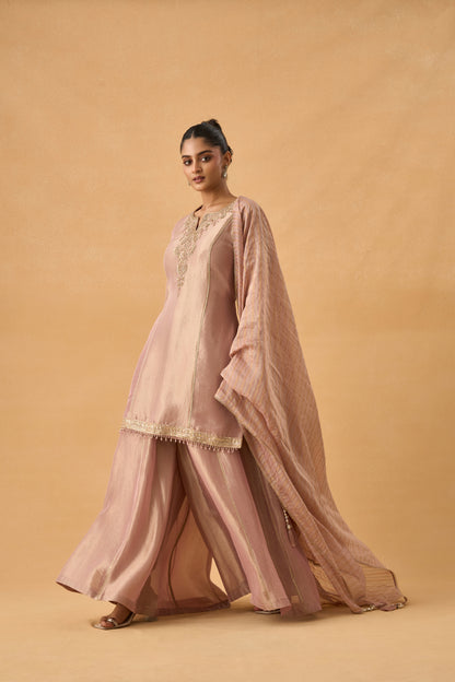 Blush Pink Tissue Palazzo Suit Set