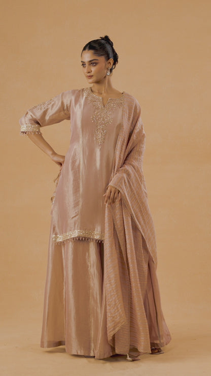 Blush Pink Tissue Palazzo Suit Set