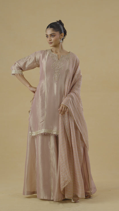 Blush Pink Tissue Palazzo Suit Set