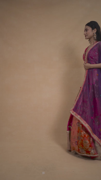 Rani Multicolour Banarasi Lehenga Set With Handwork And Pearl Detailing